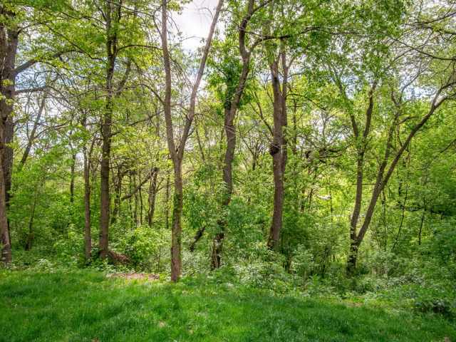 Eau Claire Residential Real Estate