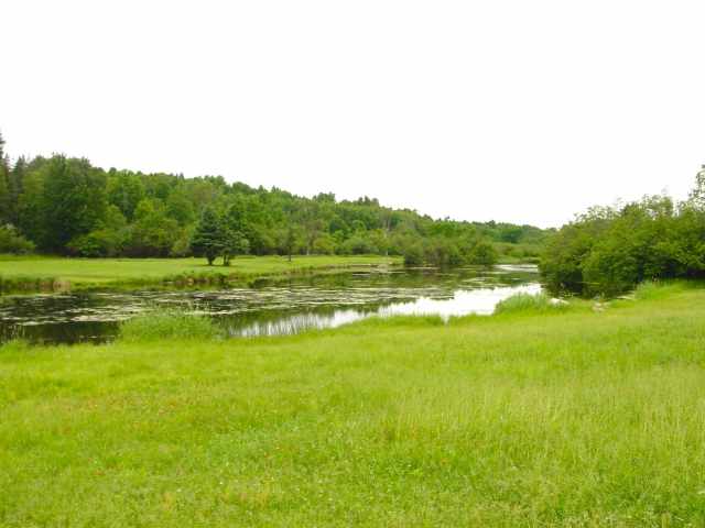 Hawkins Residential Real Estate