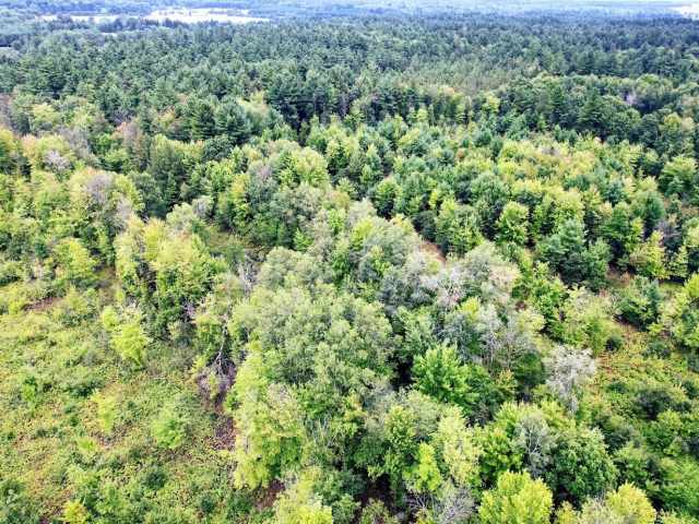 Ridgeland Land Real Estate