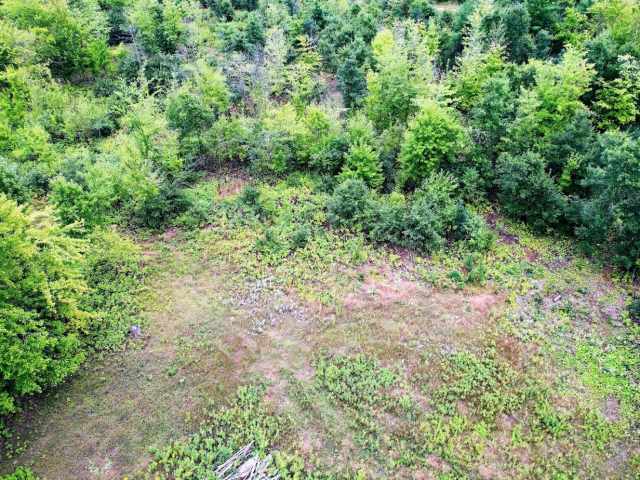 Ridgeland Land Real Estate