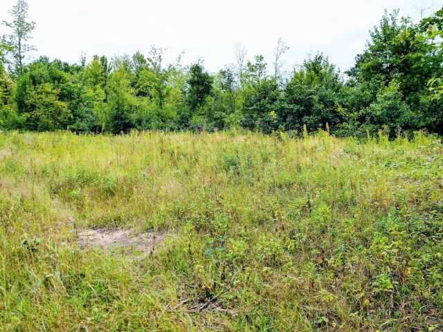 Ridgeland Land Real Estate
