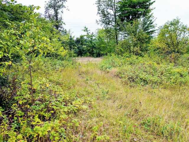 Ridgeland Land Real Estate