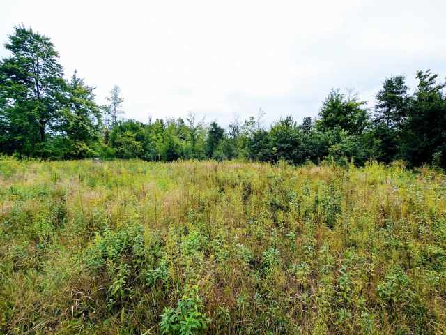 Ridgeland Land Real Estate