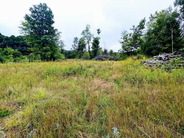 Ridgeland Land Real Estate