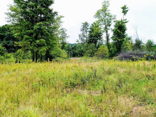 Ridgeland Land Real Estate