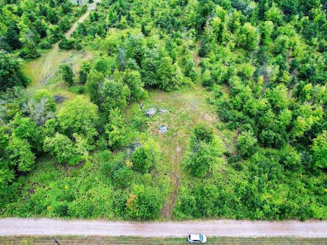 Ridgeland Land Real Estate