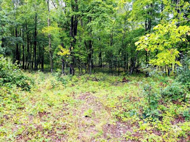 Ridgeland Land Real Estate