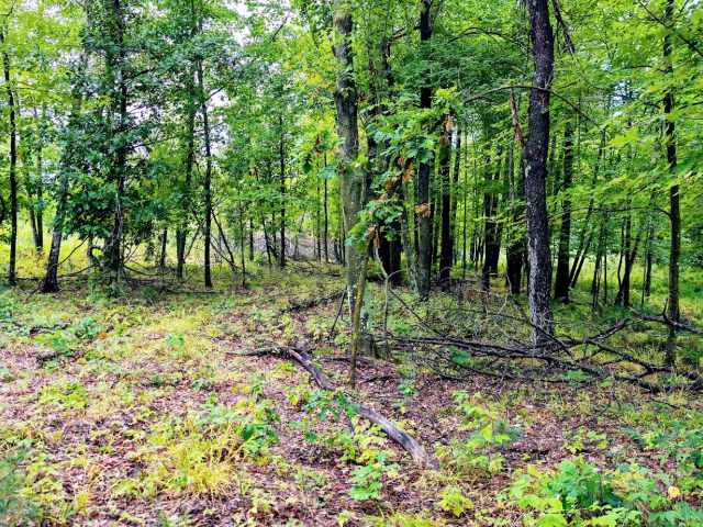 Ridgeland Land Real Estate