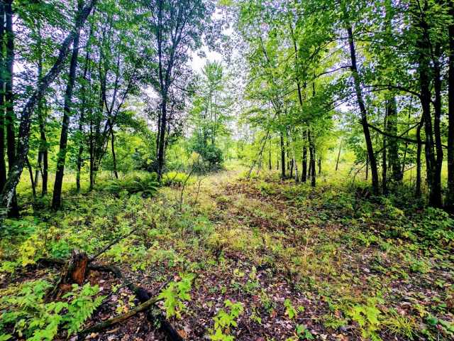Ridgeland Land Real Estate
