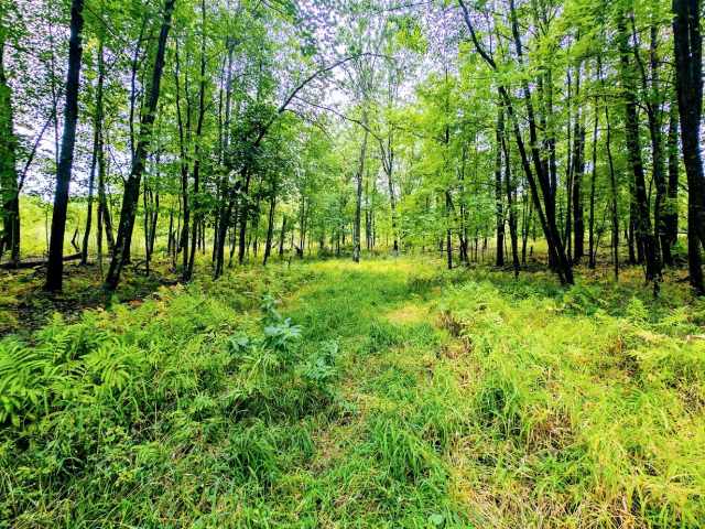 Ridgeland Land Real Estate