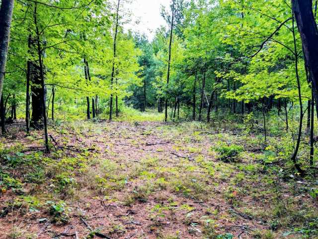 Ridgeland Land Real Estate