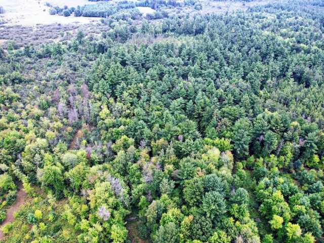 Ridgeland Land Real Estate