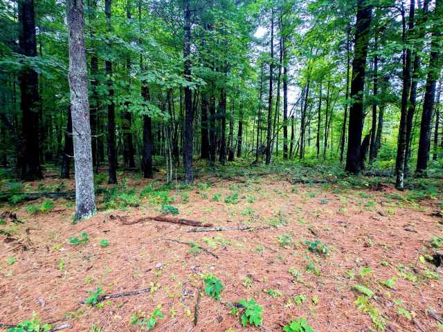 Ridgeland Land Real Estate