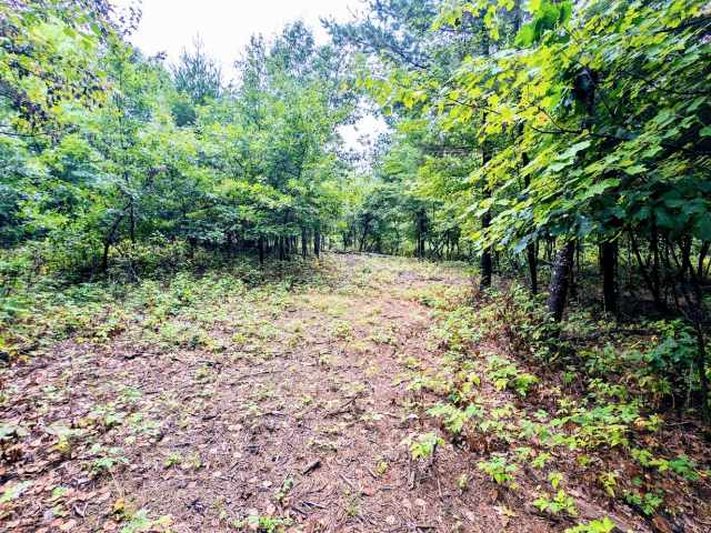 Ridgeland Land Real Estate