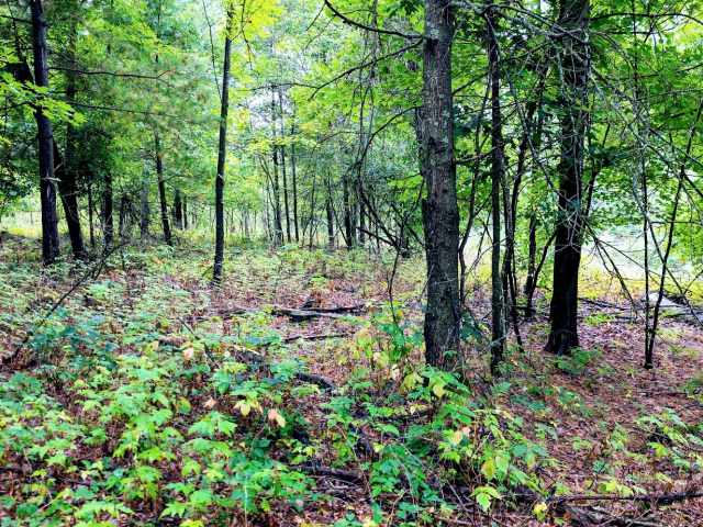 Ridgeland Land Real Estate