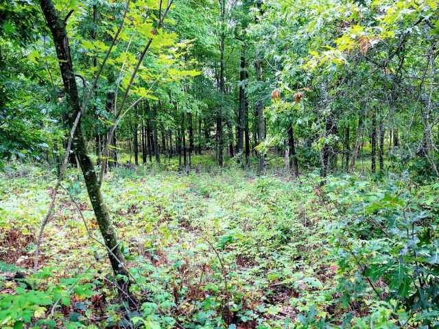 Ridgeland Land Real Estate
