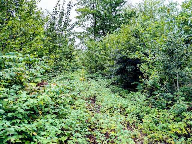 Ridgeland Land Real Estate