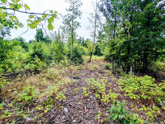 Ridgeland Land Real Estate