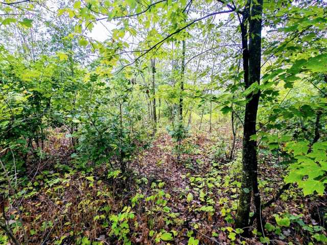 Ridgeland Land Real Estate