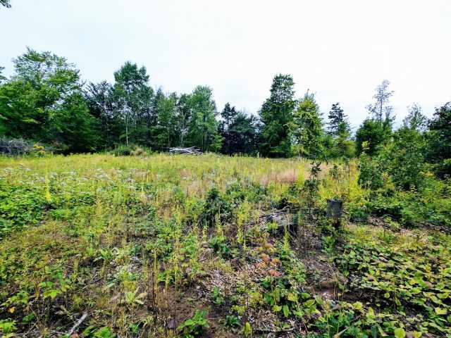 Ridgeland Land Real Estate