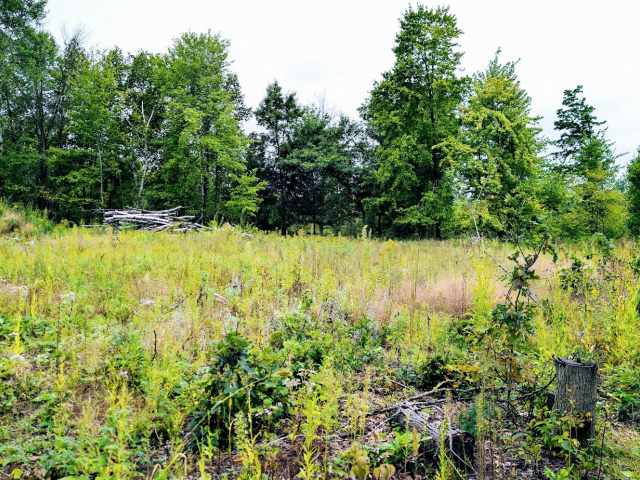 Ridgeland Land Real Estate