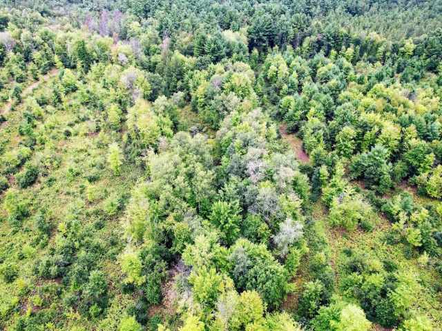Ridgeland Land Real Estate