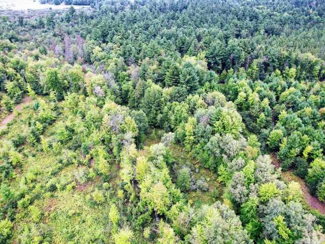 Ridgeland Land Real Estate