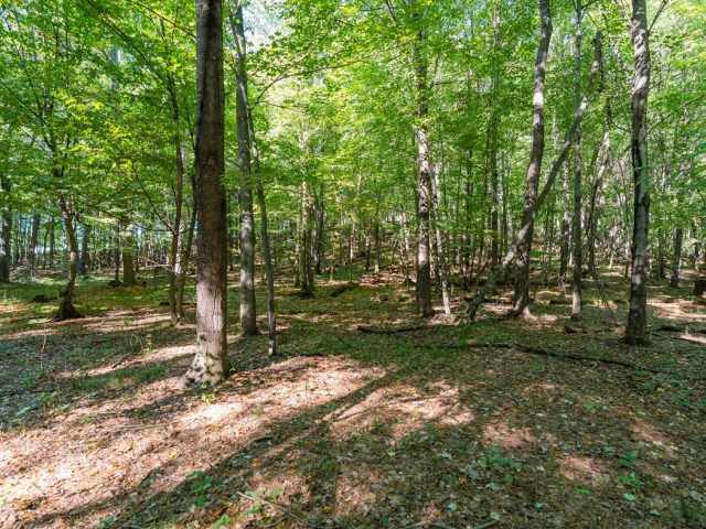 Menomonie Land Real Estate