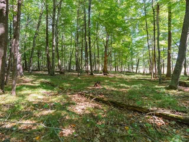Menomonie Land Real Estate