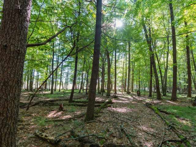 Menomonie Land Real Estate