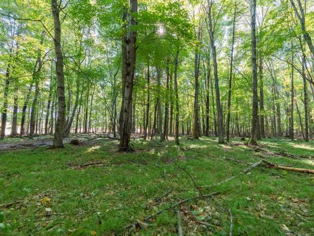 Menomonie Land Real Estate