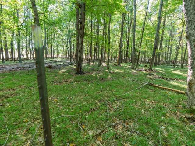 Menomonie Land Real Estate