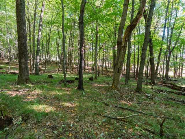 Menomonie Land Real Estate