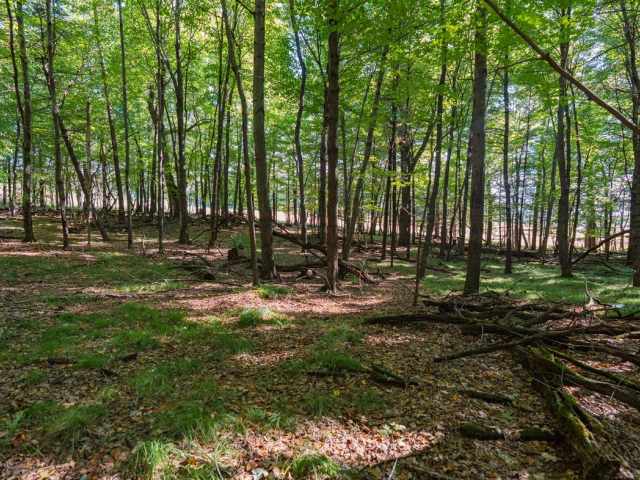Menomonie Land Real Estate