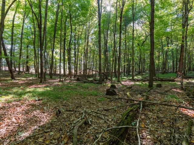 Menomonie Land Real Estate
