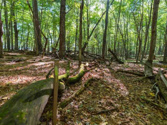 Menomonie Land Real Estate