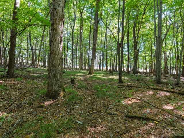 Menomonie Land Real Estate