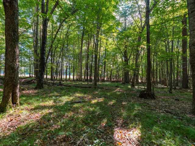 Menomonie Land Real Estate