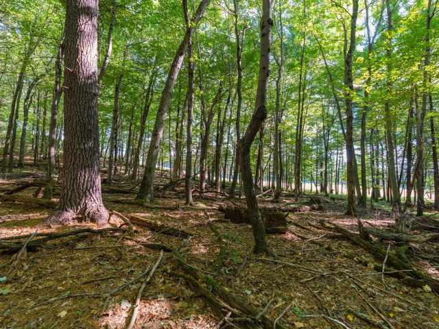 Menomonie Land Real Estate