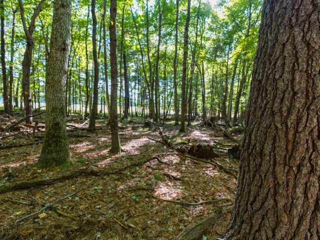 Menomonie Land Real Estate