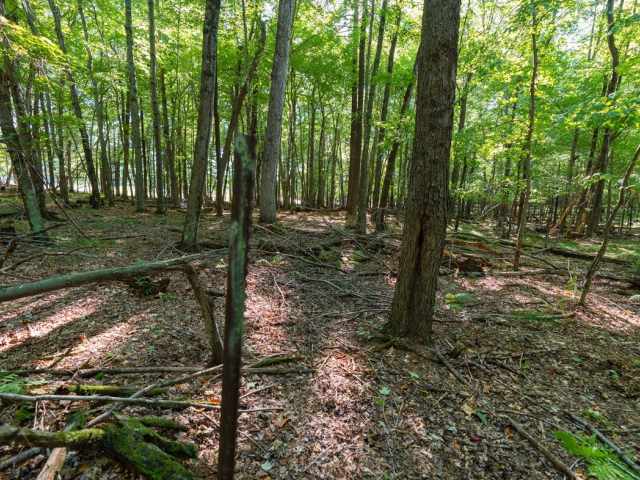 Menomonie Land Real Estate