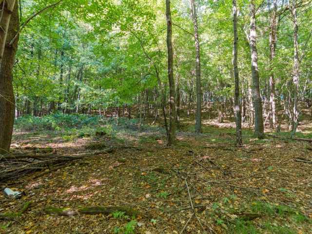 Menomonie Land Real Estate