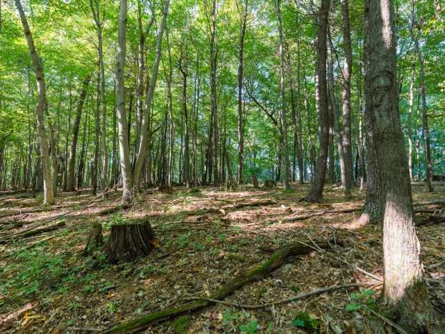 Menomonie Land Real Estate