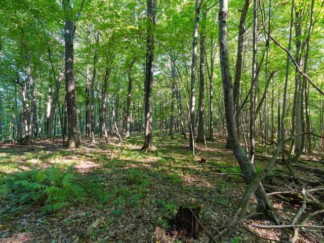 Menomonie Land Real Estate