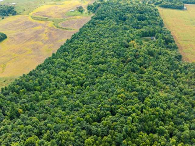Menomonie Land Real Estate