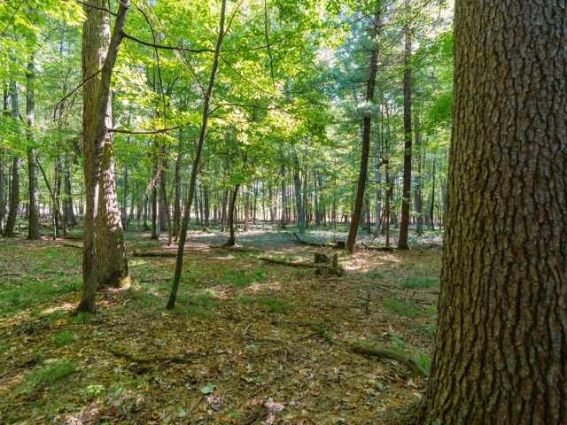 Menomonie Land Real Estate