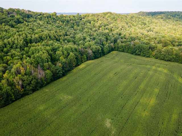 Colfax Land Real Estate