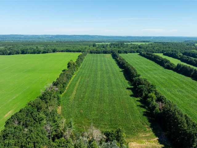 Durand Land Real Estate