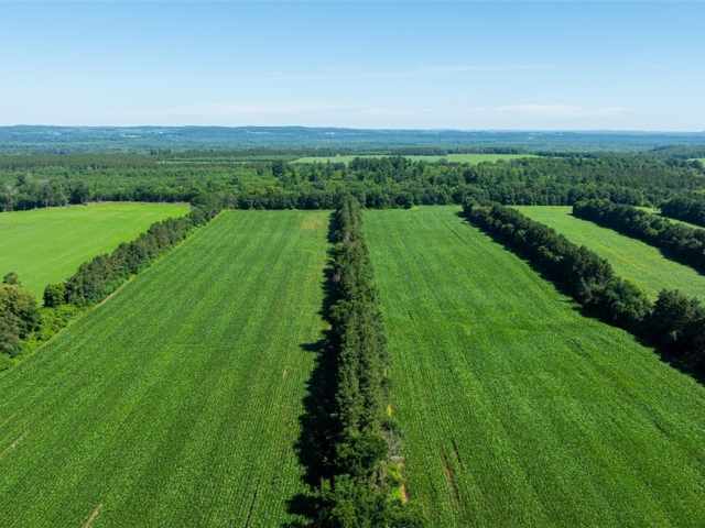 Durand Land Real Estate