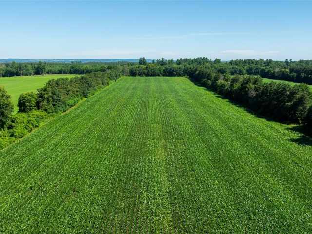 Durand Land Real Estate